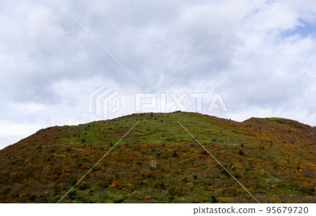 從筱屋峠看到的大關山 從筱屋峠看到的大關山 95679720