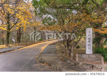 [Kyushu/Fukuoka] The ruins of Fukuoka Castle, a historic site carved into a stone monument at the foot of Matsunogi-zaka in autumn. 95679810