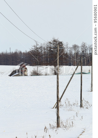 Hokkaido, Tokachi region, scenery with a ranch (winter) Hokkaido, Tokachi region, scenery with a ranch (winter) 95680901