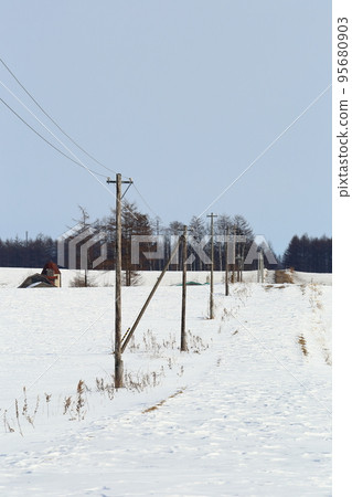 北海道、十勝地區、牧場風景（冬季） 95680903
