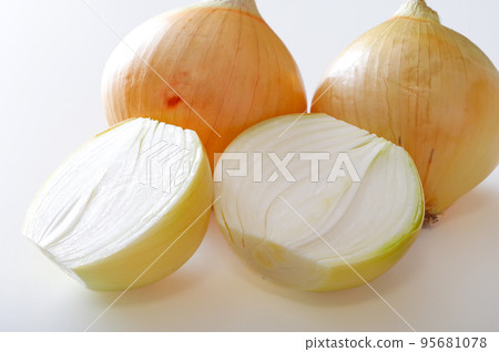 單項洋蔥白底 單項洋蔥白底 95681078