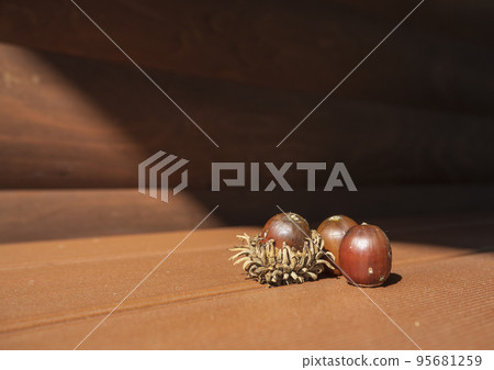 Acorn Acorn 95681259