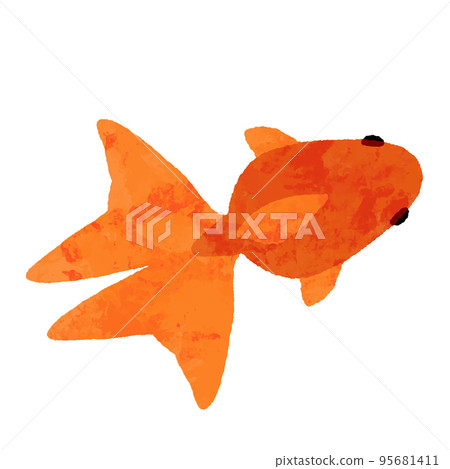 Top view red goldfish in watercolor style 95681411