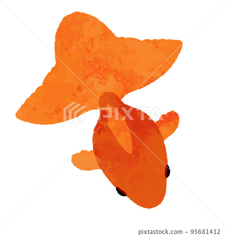 水彩風格的頂視圖紅金魚 95681412
