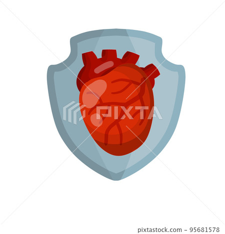 Heart. Human internal organ Heart. Human internal organ 95681578