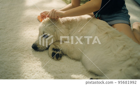 Girl creating hairstyle for dog Girl creating hairstyle for dog 95681992