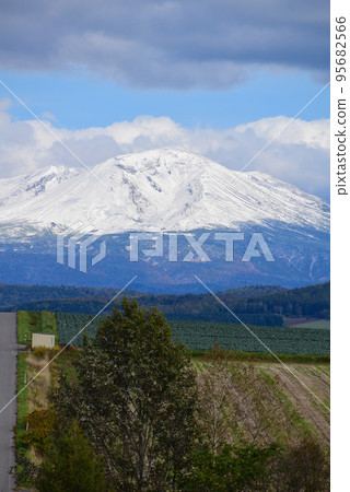 Autumn snow-capped summit and field farming area Daisetsuzan 95682566