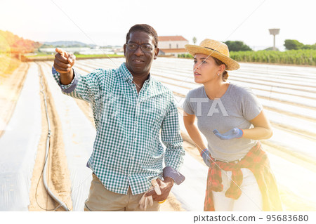 Man and woman farmers talking on vegetable field 95683680