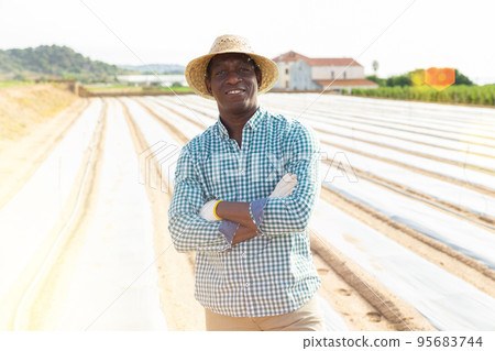 African american farmer standing in field covered with polyethylene mulch 95683744