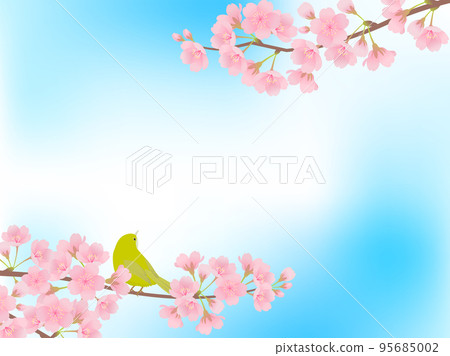 盛開的櫻花和 white-eye_frame 背景 95685002