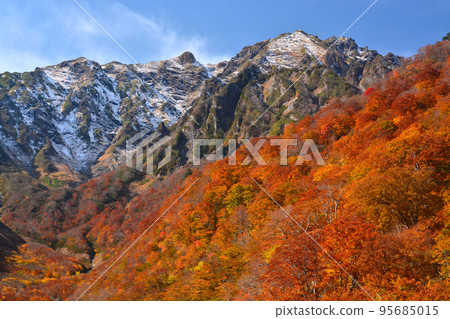 Tanigawadake Machigasawa snow and autumn leaves collaboration 95685015