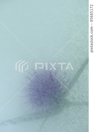 Background material of Japanese paper and wild thistle Background material of Japanese paper and wild thistle 95685172