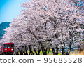 櫻花盛開的長良川鐵道 櫻花盛開的長良川鐵道 95685528
