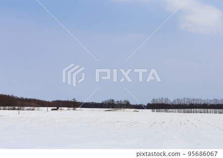 Hokkaido, Tokachi region, scenery with a ranch (winter) 95686067