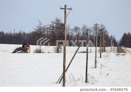 北海道、十勝地區、牧場風景(冬季) 北海道、十勝地區、牧場風景(冬季) 95686076