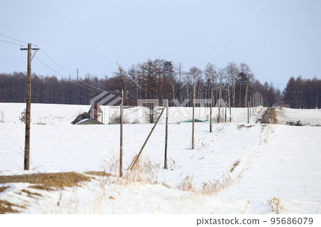 北海道、十勝地區、牧場風景（冬季） 95686079