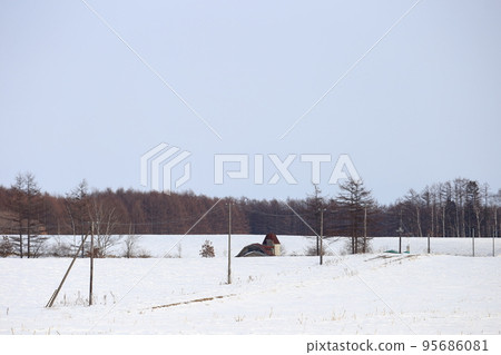 Hokkaido, Tokachi region, scenery with a ranch (winter) 95686081