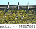 Kyoto Roof with moss 95687091