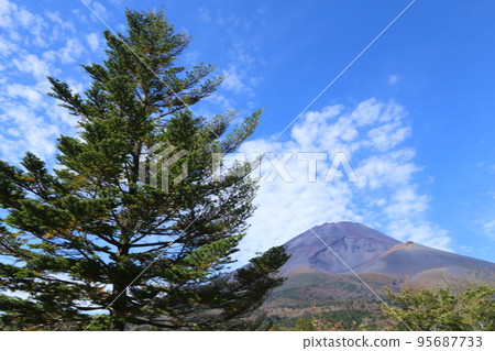 Fuji from Mizugatsuka Park 95687733