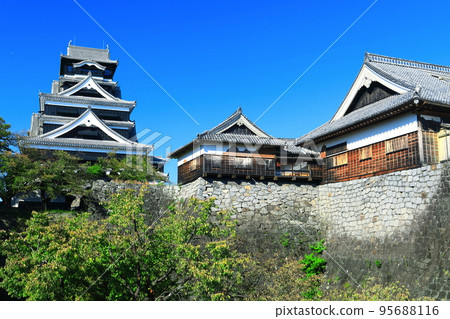 [Kumamoto Prefecture] Kumamoto Castle in sunny weather 95688116
