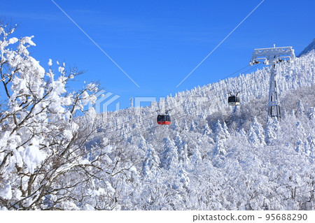 Rime trees of Zao, Yamagata Prefecture 95688290