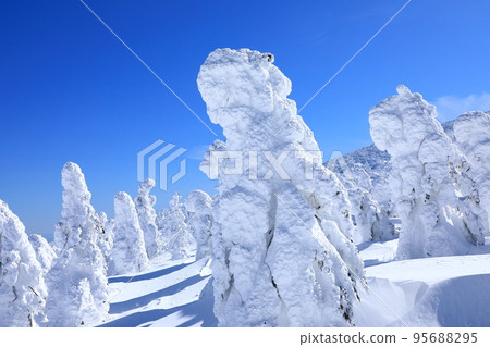 Rime trees of Zao, Yamagata Prefecture 95688295
