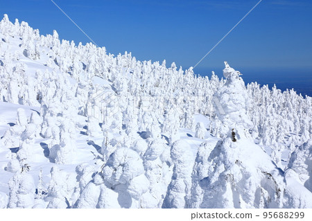 Rime trees of Zao, Yamagata Prefecture 95688299