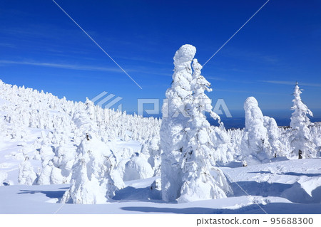 Rime trees of Zao, Yamagata Prefecture 95688300