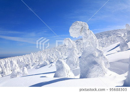 Rime trees of Zao, Yamagata Prefecture 95688303