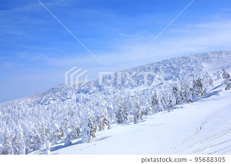 山形縣藏王樹冰 山形縣藏王樹冰 95688305
