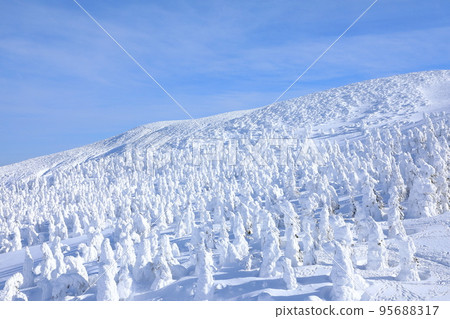 Rime trees of Zao, Yamagata Prefecture 95688317