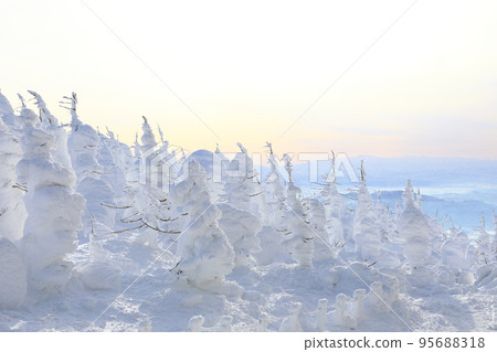 山形縣藏王樹冰 山形縣藏王樹冰 95688318