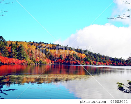 Autumn foliage, scenery of Shirakoma Pond, superb view Autumn foliage, scenery of Shirakoma Pond, superb view 95688631