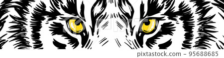 Tiger eyes vector graphics. Horizontal banner, poster with tiger eyes. Realistic drawn face of a tiger, vector illustration 95688685