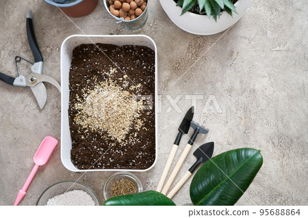 preparation of soil substrate for planting houseplant into a pot 95688864