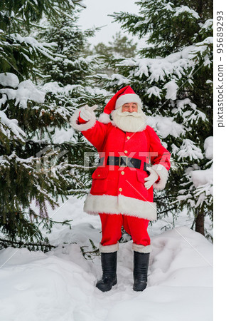Surprised Santa Claus walks through a snowy coniferous forest at the North Pole in Lapland. Merry Christmas. Postcard. 95689293