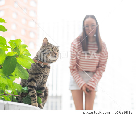 A striped cat sits on a bench outdoors. Young woman walking with her pet outdoors. A striped cat sits on a bench outdoors. Young woman walking with her pet outdoors. 95689913