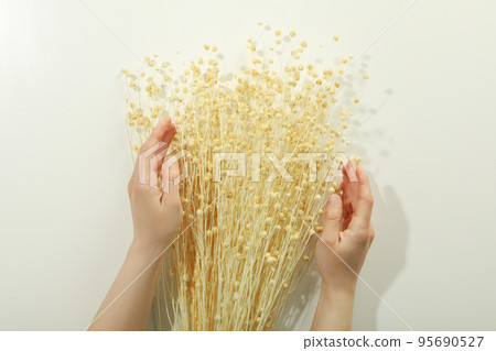 Hygge concept, female hands and dried flowers on white background 95690527