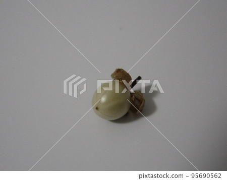 D9757 新樹莊 95690562