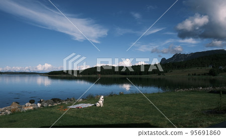 Breathtaking view of fjord in the morning in the middle of nature in Norway 95691860