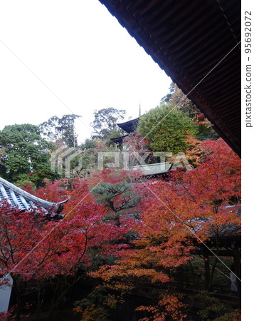 京都秋葉永觀堂版 95692072