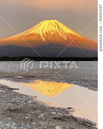 Mt. Fuji shining in gold and upside-down Mt. Fuji reflected in a puddle 95692097