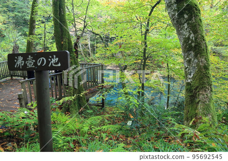 Juniko Wakitsubo Pond [Tsugaru Quasi-National Park, Fukaura Town, Aomori Prefecture] 95692545
