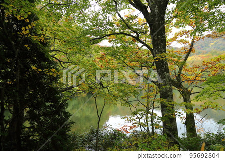 Juniko Ochiguchi Pond [Tsugaru Quasi-National Park, Fukaura Town, Aomori Prefecture] 95692804