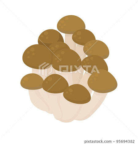 Vector illustration of shimeji. 95694382