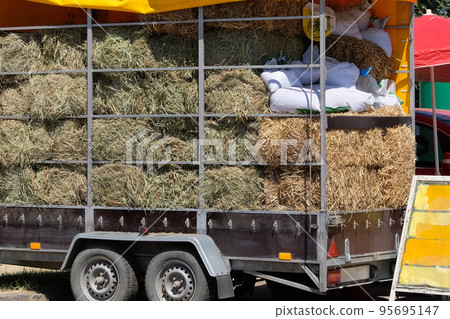 Hay and straw in a truck. Hay for cows, horses, goats and sheep. Agricultural, harvest and farming concept. 95695147