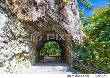 奧多摩和間隧道的舊隧道 奧多摩和間隧道的舊隧道 95695646