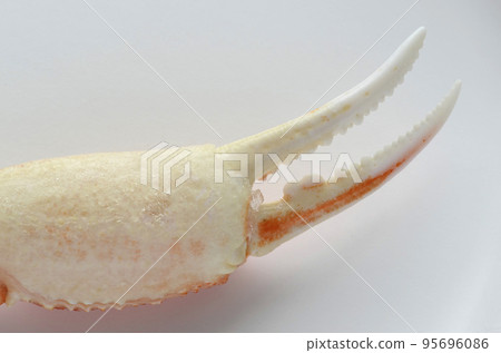 Crab claw Crab claw 95696086