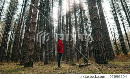 Man is watching the tall empty tree during autumn season in mountain Man is watching the tall empty tree during autumn season in mountain 95696304