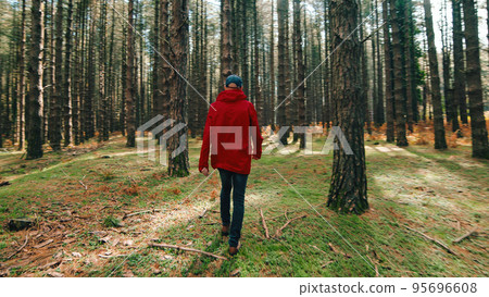 Old man with red jacket walk into the deep tall forest in Autumn Old man with red jacket walk into the deep tall forest in Autumn 95696608